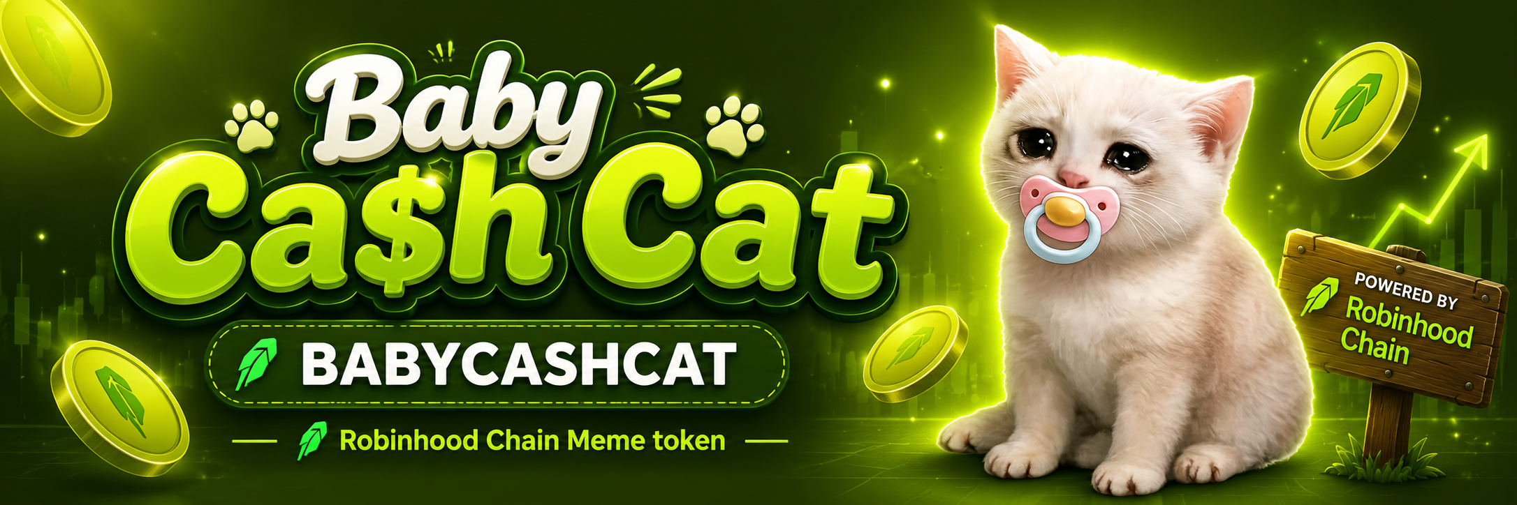 Baby Cash Cat Banner