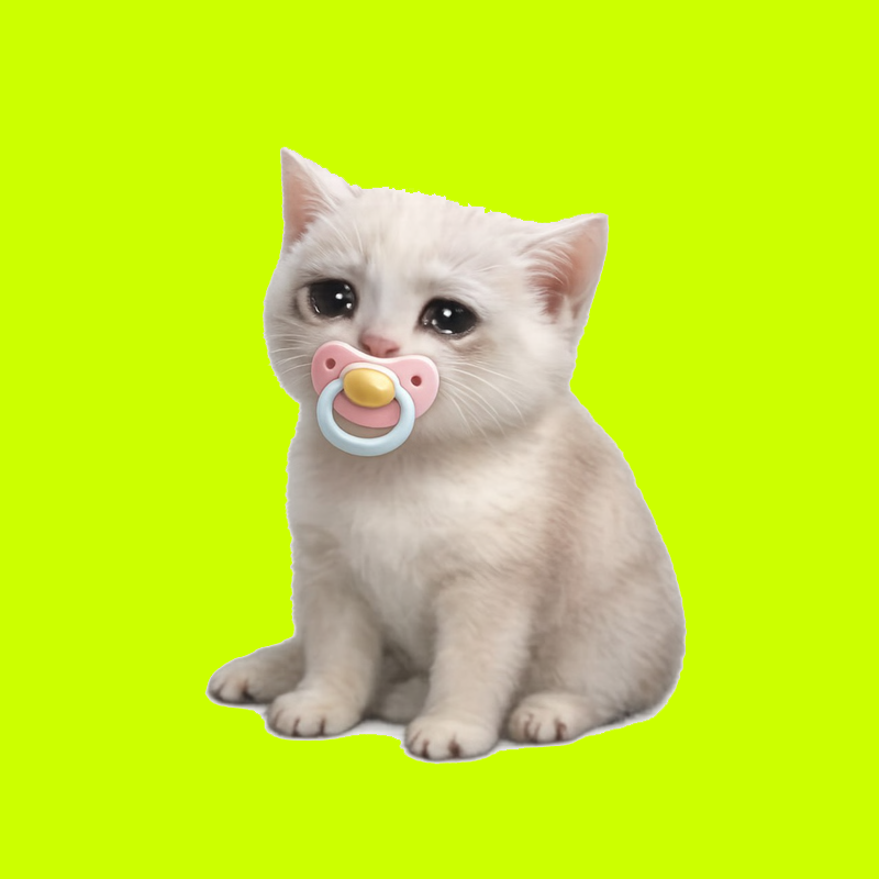 Baby Cash Cat Logo